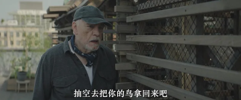 小翅膀剧照3