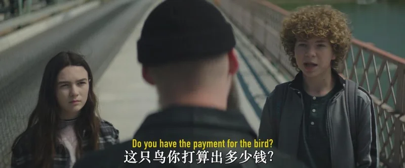 小翅膀剧照6