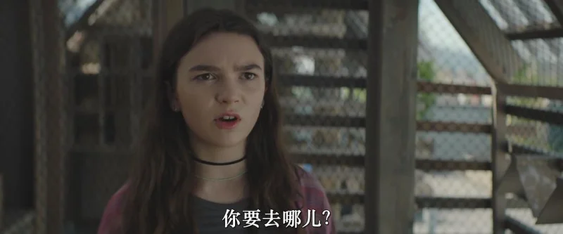 小翅膀剧照2