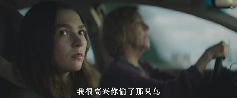 小翅膀剧照4