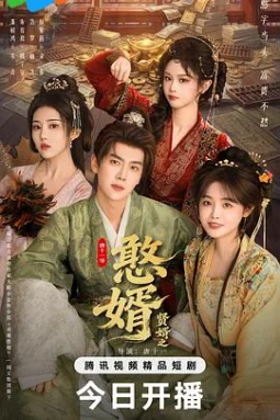 賢婿之憨婿